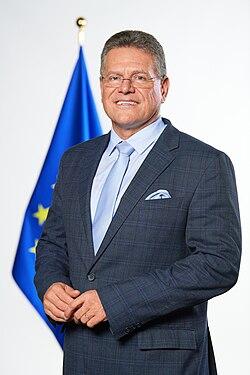 man in a suit standing in front of a flag related to China rare earth exports