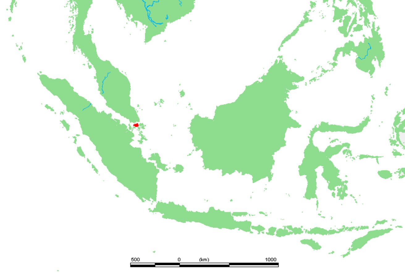 Red marker pinpointing Singapore on a green political map of Southeast Asia, surrounded by Sumatra, Borneo, Malay Peninsula,