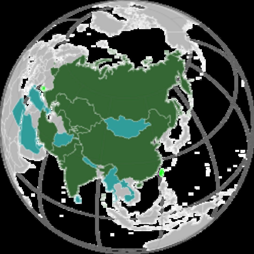 Globe centered on Asia and Russia with dark green landmass highlighting and teal-colored landlocked countries including Mongo