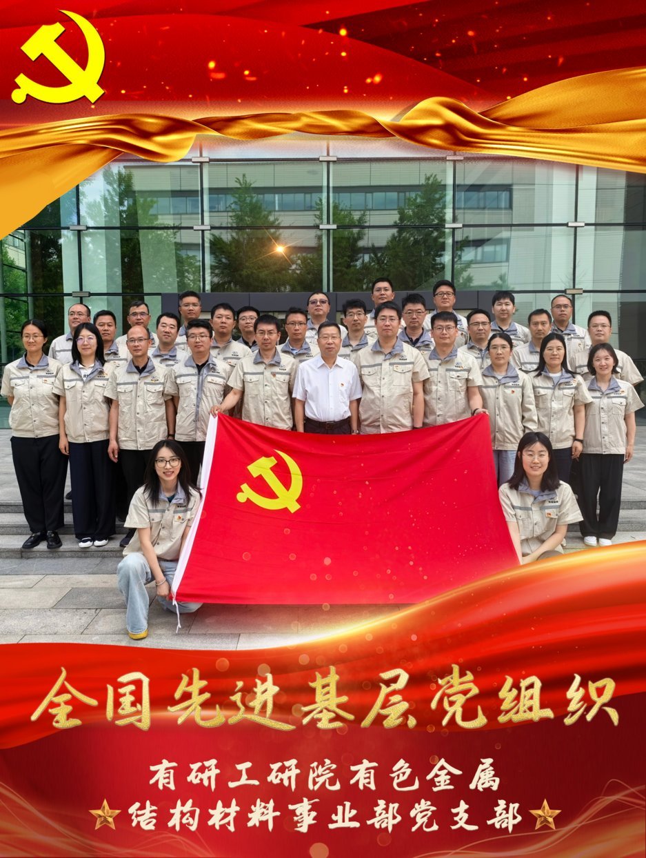 Youyan Engineering Institute NonFerrous Metals Structural Materials Business Unit CPC Branch members holding Chinese Communis