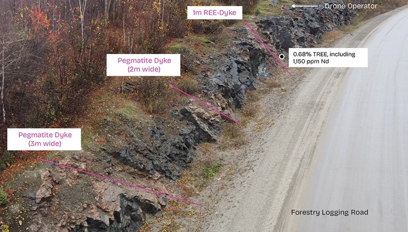 Annotated road cut outcrop along forestry logging road revealing 1m REE-Dyke, 2m and 3m wide Pegmatite Dykes assaying 0.68% T