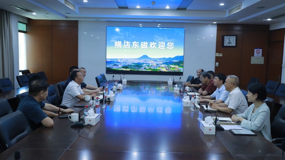 Business delegation seated at large conference table in Hengdian Dongci corporate meeting room with welcome screen displaying