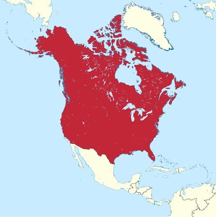 Political map of North America with Canada, the United States, and northern Mexico shaded in red, contrasting against white u