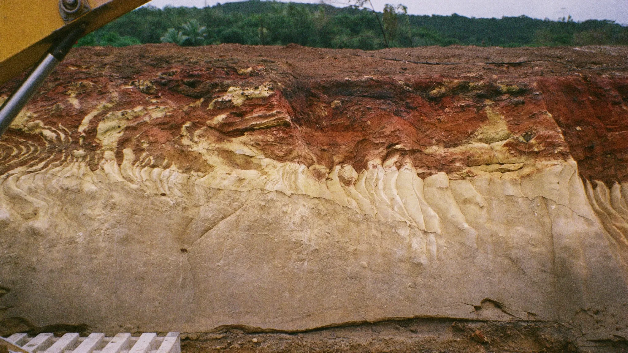 Freshly cut bench face of weathered ion-adsorption clay with pale and rust-red layers on a tropical hillside